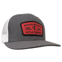 Thumbnail for Cattle Co Patch Kids Cap