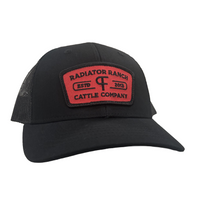 Thumbnail for Black Cattle Co Patch Kids Cap
