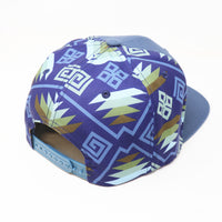 Thumbnail for Winnebago Blue Aztec Cap