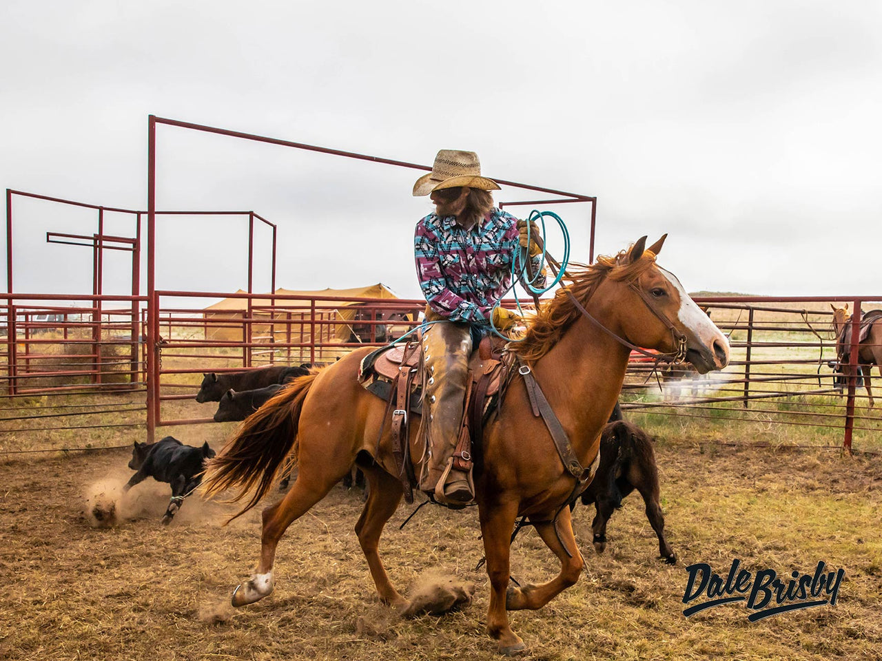 Signed Dale Brisby Calf Draggin Poster